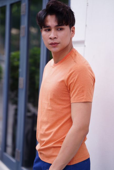 Áo thun T-Shirt Nam Cardino Việt Nam ATS019