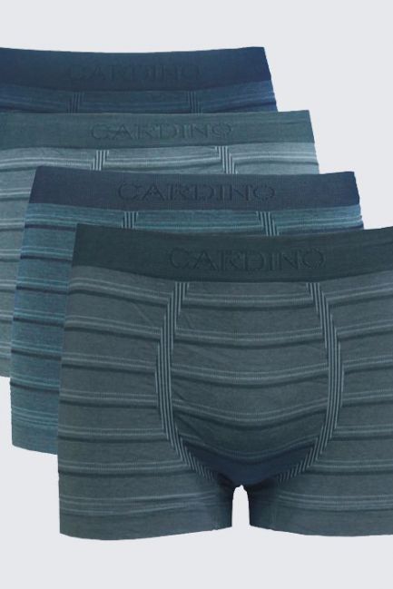 Quần lót nam CD03