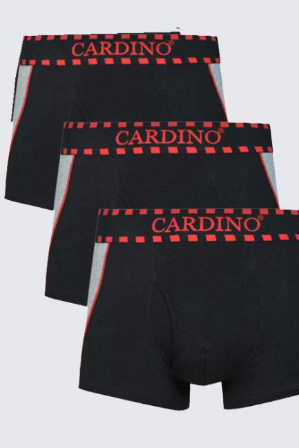 Quần lót nam CN20