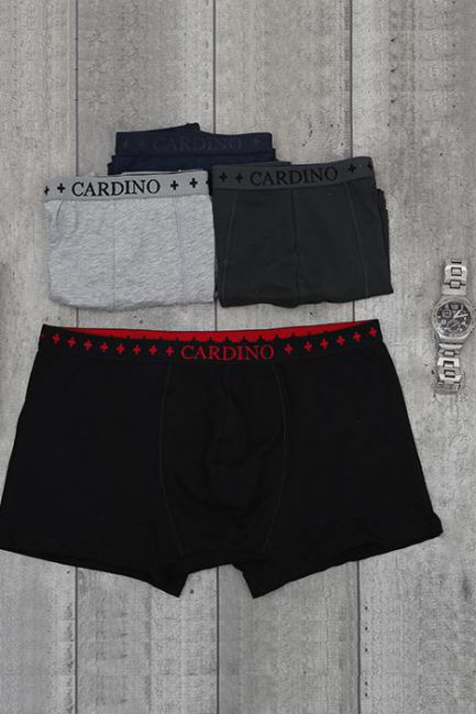 Quần lót nam CN30