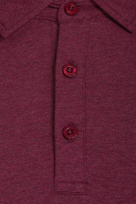 Áo polo nam cardino Việt Nam H119APLT019