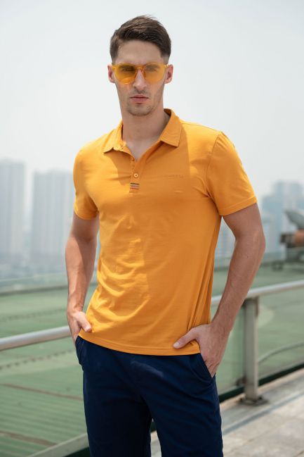 Áo polo nam cardino Việt Nam H119APLT015