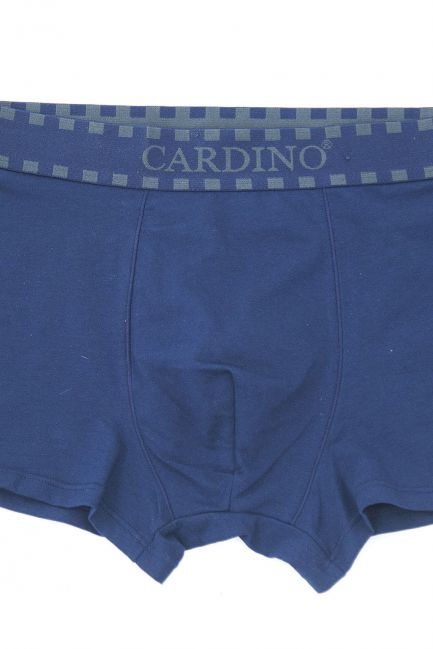 Quần lót nam Cardino Việt Nam CN46