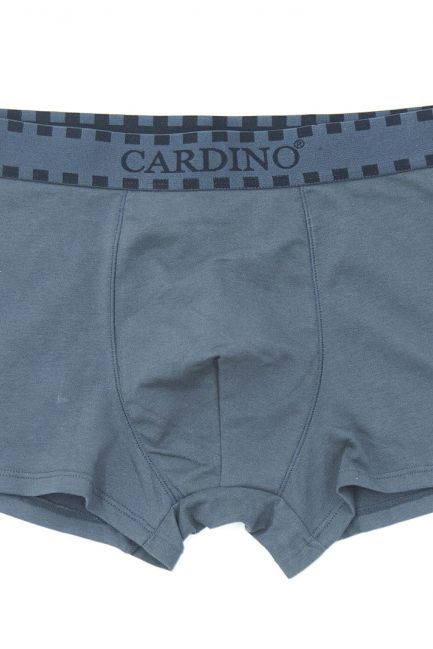 Quần lót nam Cardino Việt Nam CN46