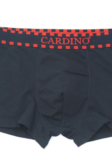 Quần lót nam Cardino Việt Nam CN46