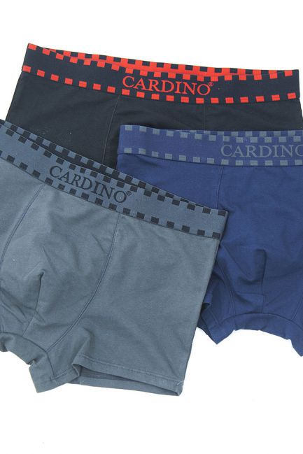 Quần lót nam Cardino Việt Nam CN46