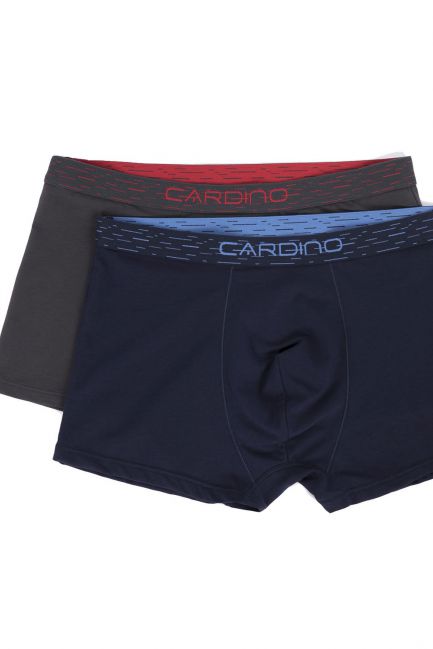 Quần sịp đùi nam cardino Việt Nam CMB01