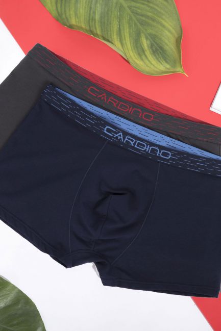 Quần sịp đùi nam cardino Việt Nam CMB01