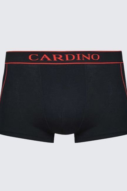 Quần lót nam CN17