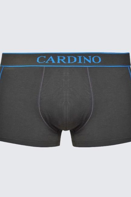 Quần lót nam CN17