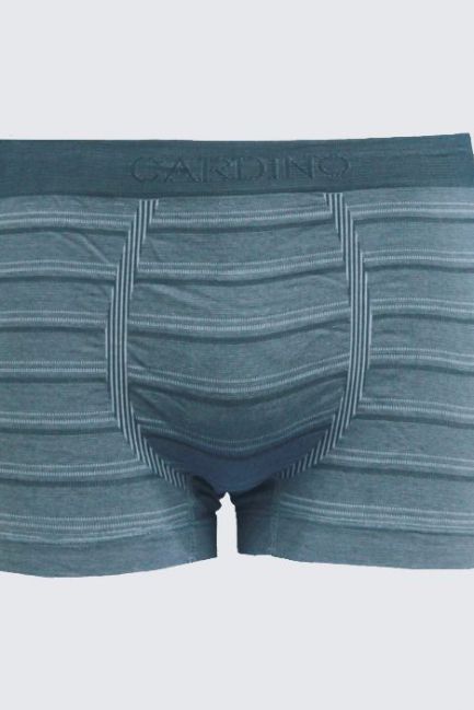 Quần lót nam CD03