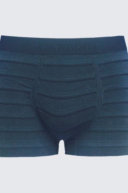 Quần lót nam CD03