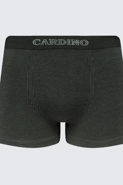 Quần lót nam CD05