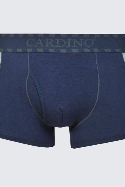 Quần lót nam CN20