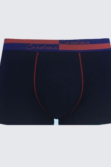 Quần lót nam CN25