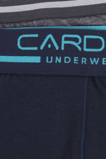 Quần lót nam cardino Việt Nam DLNCN41